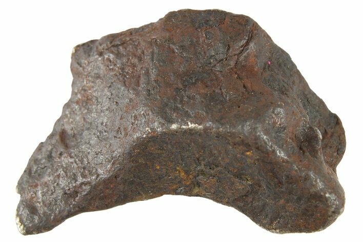 Canyon Diablo Iron Meteorite ( g) - Arizona #262859